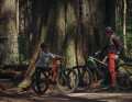 Rocky Mountain Reaper Powerplay: New kids bike with new motor