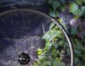 But even without a cassette, the wheels are eye-catching, aren't they?