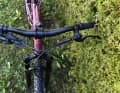Schickes Cockpit vor grüner Hecke.