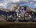 The Wilier Urta Ultimate is set to compete for cross-country gold with 120 millimetres of suspension travel, new geometry and kinematics.