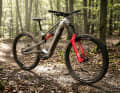 Alutech präsentiert mit dem ePelmo X1P das erste E-Bike mit Gobaos X1P.