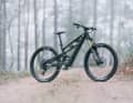 YT Decoy SN 29 Core 4 // Fazua Ride 60 // 480 Wh // 160/140 mm // 29 inch // 19.5 kg // 8999 Euro