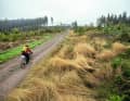 Perfect gravel terrain: the mountain ranges in the Black Forest are criss-crossed by countless gravel paths.