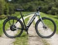 Der Electrolyte Zugvogel S10E