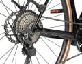 Slim: Filigree dropout with thru axle on the Look Gotham.