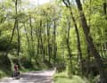 Einsame Auffahrt im Pollino Nationalpark.