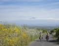 Start with Mount Etna behind you.