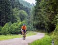 Flache Passagen sind auf den Touren in den Nordvogesen eher die Ausnahme. Genussradler setzten aufs E-Bike.