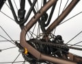 The dropout with frame lock on the Qwic is the key to its low-maintenance drive: Gates carbon belts and hub gears are a carefree combination.