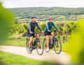The vineyards of Lower Austria are easy to explore on e-bikes.