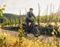 Giant has developed the bike for the city as well as for bumpy surfaces - it should offer comfort and control in each case.