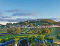 View of the Wildendürnbach cellar lane