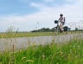 The cycle tour along the coast is mostly flat