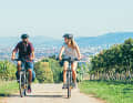 On the wine cycle path near Freiburg