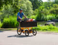 The motor makes the cargo pedelec a universal short-distance transporter
