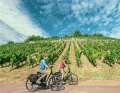 Cycling tours in wine regions are the tip for the end of summer.