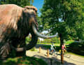 Rudi the mammoth greets cyclists on the Traun-Alz cycle path near Siegsdorf