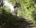 Turn off the gravel track onto the root path - no problem with modern gravel bikes with suspension.