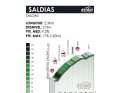 Saldias