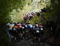 Le peloton en action pendant la course des hommes au Koppenbergcross, la première course (sur huit) du X2O Badkamers Trophy Cyclocross, à Melden, Oudenaarde, le mercredi 1er novembre 2023.