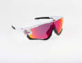 Oakley Jawbreaker