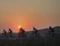Towards the sun: The race starts before dawn and takes the 800 participants from a suburb of Abu Dhabi to the oasis city of Al Ain.