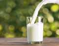 Outre les protéines, le lait et les produits laitiers fournissent de précieux micronutriments tels que le calcium et l'iode.
