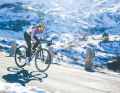 Cycling shoes for winter: warm and dry whatever the weather
