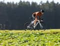 Prix avantageux contre prix élevé : Comparaison entre le Specialized Crux DSW et le S-Works Crux