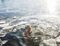 If the water is below 5 degrees, it is called ice bathing. Above that, it is called winter swimming. Bathing in contrast to ice swimming, where a distance is covered.