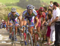 Strong climber: Paolo Bettini (left) won Liège-Bastogne-Liège twice for Mapei; here he follows team-mate Stefano Garzelli on his rear wheel, with Mirko Celestino next to him