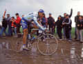 Many experts: Franco Ballerini contributed two victories at Paris-Roubaix for Team Mapei in 1995 and 1998 (pictured)
