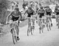 Flandria-Zug: Fast eine belgische 
Nationalmannschaft - das Team beim Mannschaftszeitfahren der Tour de France 1979