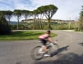 Road bike tours in Umbria