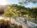 Light forests: In the Machairas National Forest Park you climb through pine forest.