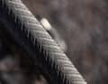 Continental Terra Competition tyres