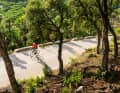 Gentle ascent: The coastal road from Tossa de Mar to Sant Feliu de Guíxols (Tour 4)