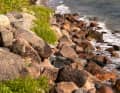 Nature experience: Lonely and unspoilt in many places - the south coast of the island of Zealand