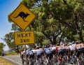 Tour Down Under (Frauen: 12.01. - 14.01., Männer: 16.01. - 21.01.)