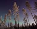 Die Nordlichter in Lappland, Finnland entdecken