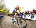 Favoriten für Paris-Roubaix 2024: Tim Wellens