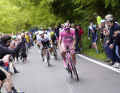 On the 20th stage over Monte Grappa, the pink jersey sits firmly on Tadej Pogacar's shoulders