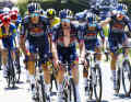 Red Bull-Bora-Hansgrohe set the tone in the peloton