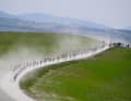 Drivers have to swallow a lot of dust on the "white roads" of Tuscany