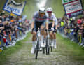 Mathieu van der Poel and Tadej Pogačar lead the peloton out of the Arenberg forest