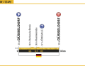 Individual time trial in Düsseldorf