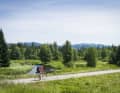 Une nature intacte : le troisième jour, une petite route pour cyclistes et riverains traverse le parc national de Šumava (Šumava).