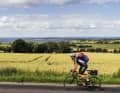 Danish island hopping: pastures and shimmering golden grain fields by the Baltic Sea