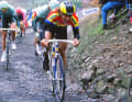 1991 beendete Eddy Planckaert seine Karriere - ein Jahr zuvor gewann er Paris-Roubaix.