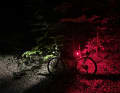 A little light show for hares and hedgehogs.